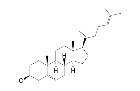 CHOLESTA-5,20,24-TRIEN-3-BETA-OL