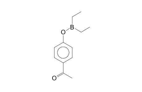 4-Acetylphenyl diethylborinate