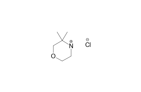 3,3-DIMETHYL-MORPHOLINE-HYDROCHLORIDE