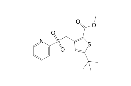 5-tert-butyl-3-{[(2-pyridyl)sulfonyl]methyl}-2-thiophenecarboxylic acid, methyl ester