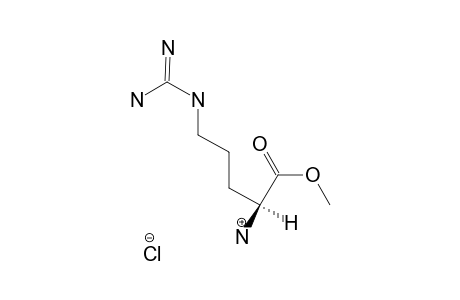 METHYL-ARGININE-HYDROCHLORIDE