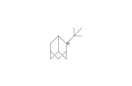 2-tert-Butyl-2-adamantyl cation