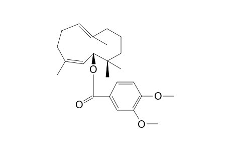 SESQUITERPENE FL-XII