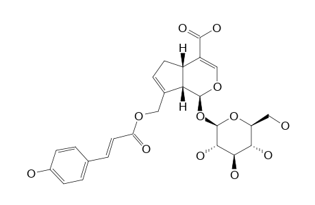 10-O-(E)-PARA-COUMAROYL-GENIPOSIDIC-ACID