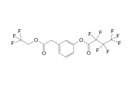 mHPA-TFE-HFB