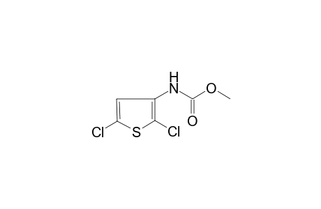 (2,5-Dichloro-thiophen-3-yl)-carbamic acid methyl ester