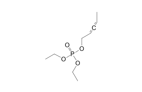 DIETHYL-2,3-PENTADIENYL-PHOSPHATE