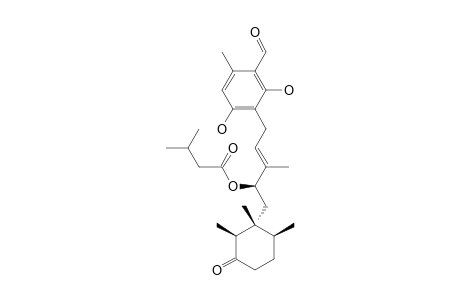 Cylindrol A3