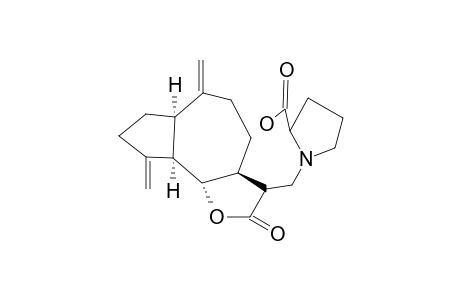 INVOLUCRATIN