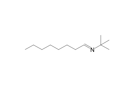 N-tert-Butyloctylideneamine