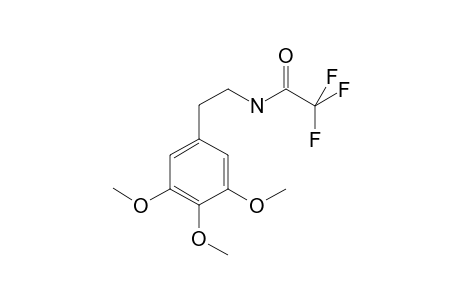 Mescaline TFA