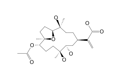 DENDRONPHOLIDE_J