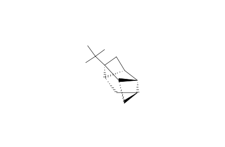 1-TERT.-BUTYLTETRACYCLO-[4.3.0.0(2,8).0(4,7)]-NONANE