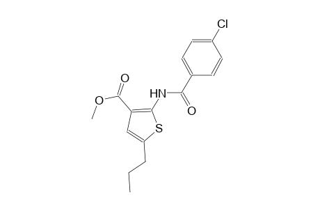 methyl 2-[(4-chlorobenzoyl)amino]-5-propyl-3-thiophenecarboxylate