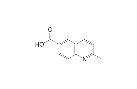 2-Methylquinoline-6-carboxylic acid