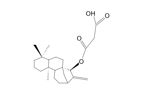 ENT-KAUR-16-EN-15-BETA-YL-HYDROGEN-MALONATE