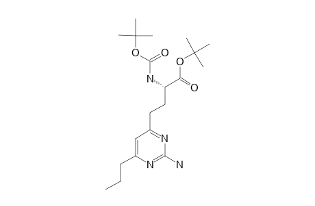 (S)-ALPHA-TERT.-BUTOXYCARBONYLAMINO-GAMMA-(2-AMINO-6-PROPYLPYRIMIDIN-4-YL)-BUTYRIC-ACID-ALPHA-TERT.-BUTYLESTER