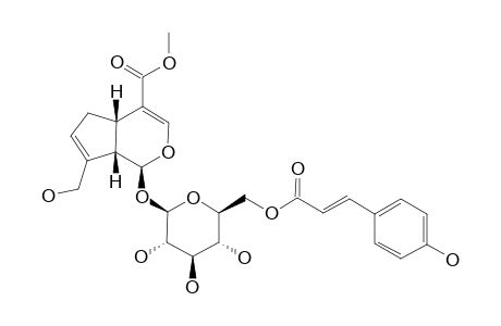 6'-O-TRANS-PARA-COUMAROYLGENIPOSIDE