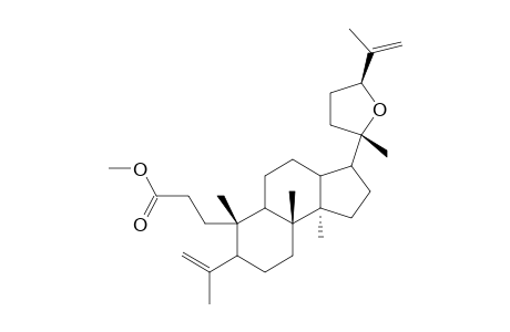 METHYL-(20S,24S)-EPOXY-25(26)-EN-3,4-SECO-4(28)-DAMMAREN-3-OATE