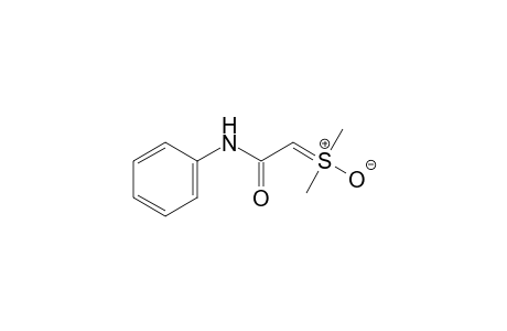 DIMETHYLSULFONIUM PHENYLCARBAMOYLEMETHYLIDENE, OXIDE