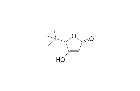 5-tert-Butyl-4-hydroxy-5H-furan-2-one