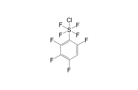 2,3,4,6-TETRAFLUOROPHENYLSULFUR-CHLOROTETRAFLUORIDE;TRANS-ISOMER