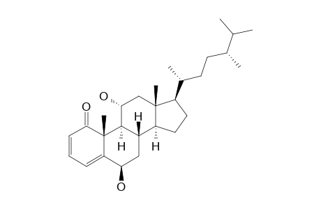 Stoloniferone E