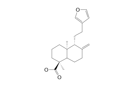 15,16-EPOXY-ENT-LABD-8(17),13(16),14-TRIEN-18-OIC-ACID