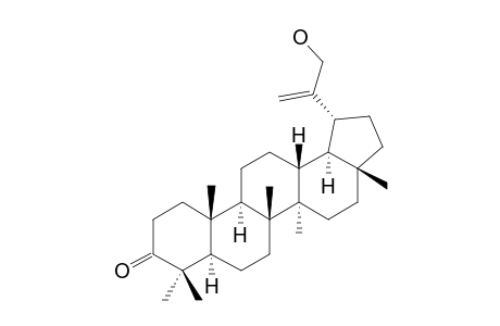 30-Hydroxylup-20(29)-en-3-one