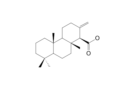 (14R)-ENT-ISOCOPAL-13(16)-EN-15-OIC-ACID