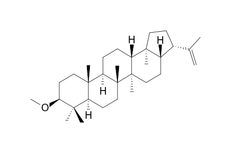 3-BETA-METHOXY-HOP-22(29)-ENE