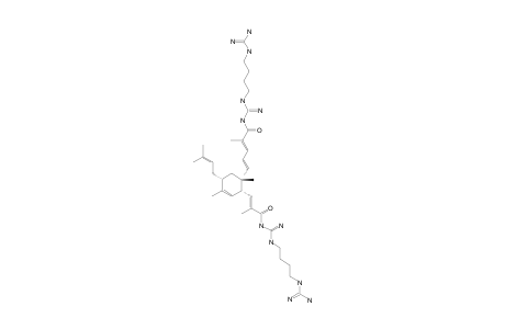 BISTELLETTADINE-B