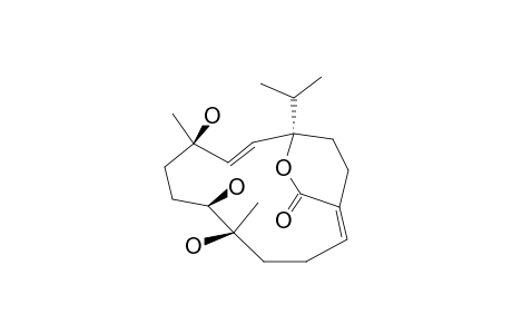 SARCOPHELEGAN-C