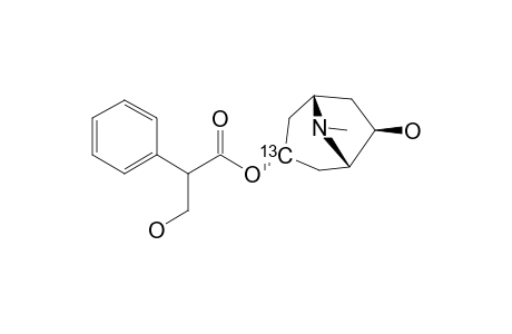 6-BETA-HYDROXYOSCYAMINE