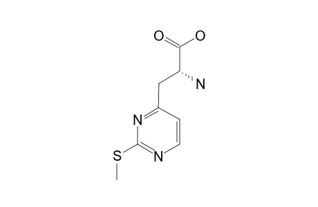 (S)-BETA-(2-METHYLTHIOPYRIMIDIN-4-YL)-ALPHA-AMINOPROPANOIC-ACID