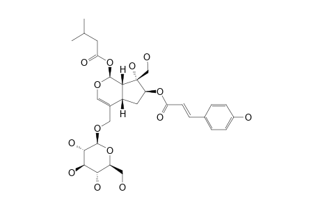 LUZONOSIDE-A