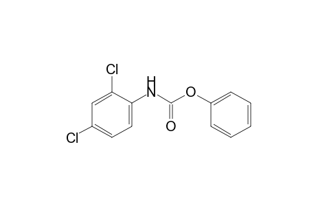 2,4-dichlorocarbanilic acid, phenyl ester