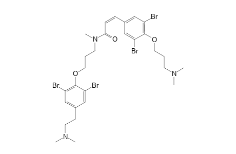 PSAMMAPLYSENE_D;CIS_ISOMER;(2-Z)-N-(3-{2,6-DIBROMO-4-[2-(DIMETHYLAMINO)-ETHYL]-PROPYL)-3-{3,5-DIBROMO-4-[3-(DIMETHYLAMINO)-