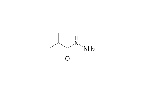 Isobutyric-acid, hydrazide