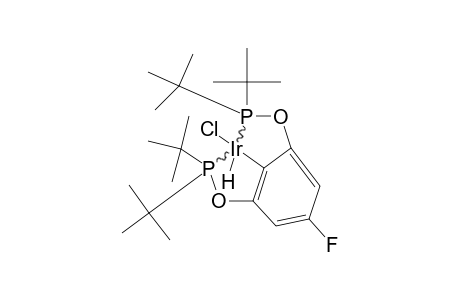 PARA-F-PCP-IR-HCL