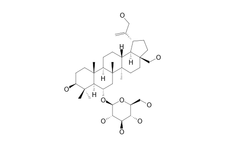 SCHEFFLERIN-E;LUPAN-20(29)-ENE-3-BETA,6-ALPHA,28,30-TETRAOL-6-O-BETA-D-GLUCOPYRANOSIDE