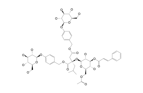 GYMNOSIDE_VII