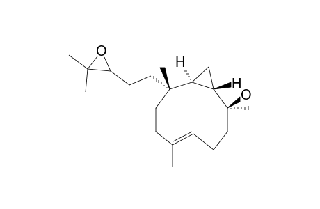 PACIFICIN-Q