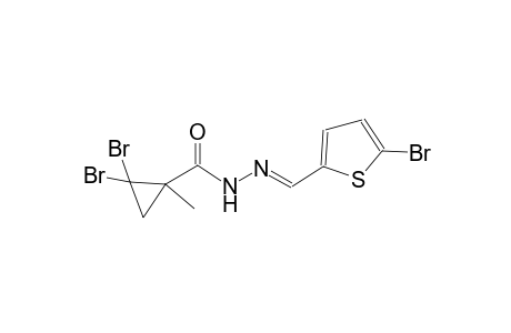 2,2-dibromo-N'-[(E)-(5-bromo-2-thienyl)methylidene]-1-methylcyclopropanecarbohydrazide