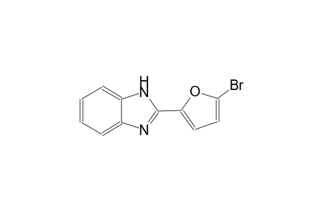 2-(5-bromo-2-furyl)-1H-benzimidazole