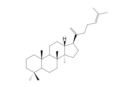 DAMMARA-18(28),21-DIENE