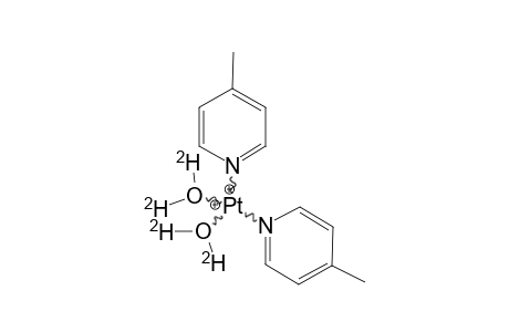 CIS-[PT(4-PIC)2(D2O)2]2+