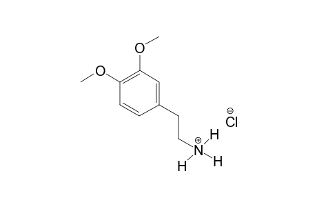 HOMOVERATRYLAMINE-CATION