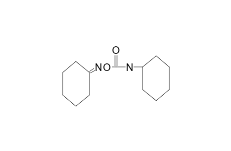 cyclohexanone, O-(cyclohexylcarbamoyl)oxime