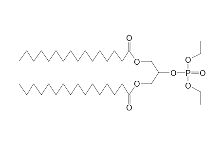 1,3-O-DIPALMITOYL-RAC-GLYCERO-2-DIETHYLPHOSPHATE